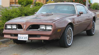 Illustration for article titled 1978 Pontiac Firebird Trans Am